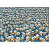 Image de Impossible Donald 1000 Pièces Clementoni