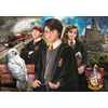 Image de Harry Potter 1000 Pièces Clementoni