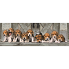 Image de Les Beagles 1000 Pièces Clementoni