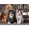 Image de Adorables Chatons 1000 Pièces Clementoni