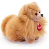 Image de Peluche Chien Poméranien 22 Cm Marron