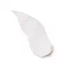 Image de Seletti WING