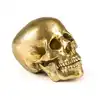 Image de Seletti HUMAN SKULL