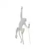 Image de Seletti THE MONKEY LAMP CEILING
