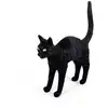 Image de Seletti JOBBY THE CAT