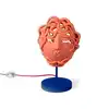Image de Seletti TERRACOTTA MEDUSA MASK LAMP