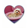 Image de Seletti BFF