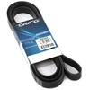 Image de DAYCO 6PK2615 Courroie Poly-V