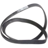 Image de DAYCO 6PK1050S Courroie Poly-V