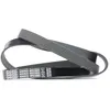 Image de DAYCO 6PK1580S Courroie Poly-V