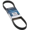 Image de DAYCO 6PK905S Courroie Poly-V