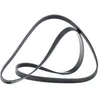 Image de DAYCO 5PK1545 Courroie Poly-V