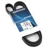 Image de DAYCO 5PK1650 Courroie Poly-V