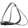 Image de DAYCO 7PK1750 Courroie Poly-V