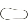 Image de DAYCO 4PK917EE Courroie Poly-V