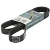 Image de DAYCO 8PK1500HD Courroie Poly-V
