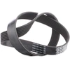 Image de DAYCO 7PK880 Courroie Poly-V