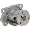 Image de DAYCO DP359 Pompe à eau