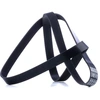 Image de DAYCO 7PK1601 Courroie Poly-V