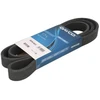 Image de DAYCO 8DPK1833 Courroie Poly-V