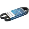 Image de DAYCO 6PK1070PM Courroie Poly-V