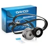 Image de DAYCO KPV419 Jeu de courroies trapézoïdales à nervures