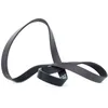 Image de DAYCO 6PK1100 Courroie Poly-V