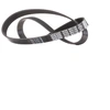 Image de DAYCO 6PK1160 Courroie Poly-V