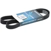 Image de DAYCO 6PK1250 Courroie Poly-V