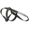 Image de DAYCO 6PK1320 Courroie Poly-V