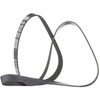 Image de DAYCO 6PK1555 Courroie Poly-V