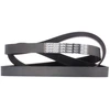 Image de DAYCO 6PK1590 Courroie Poly-V