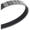 Image de DAYCO 6PK1640 Courroie Poly-V
