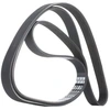 Image de DAYCO 6PK1740 Courroie Poly-V