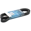 Image de DAYCO 6PK1900 Courroie Poly-V