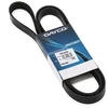 Image de DAYCO 6PK2050 Courroie Poly-V