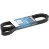 Image de DAYCO 6PK2195 Courroie Poly-V