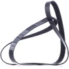 Image de DAYCO 7PK1675 Courroie Poly-V