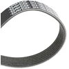 Image de DAYCO 6PK1200 Courroie Poly-V