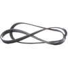 Image de DAYCO 6PK1381 Courroie Poly-V