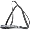 Image de DAYCO 5PK1750 Courroie Poly-V