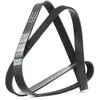 Image de DAYCO 6PK1558 Courroie Poly-V