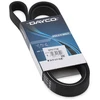 Image de DAYCO 6PK1736 Courroie Poly-V