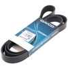 Image de DAYCO 7PK1770 Courroie Poly-V