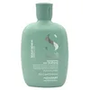 Image de SEMI DI LINO scalp renew energizing shampoo 250 ml