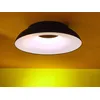 Image de Martinelli Luce MAGGIOLONE