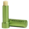 Image de TEA BALM lip #matcha tea