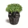 Image de Qeeboo MEXICO PLANTER AND CHAMPAGNE COOLER