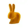Image de Qeeboo RABBIT CHAIR VELVET