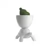 Image de Qeeboo TURTLE CARRY PLANTER AND CHAMPAGNE COOLER